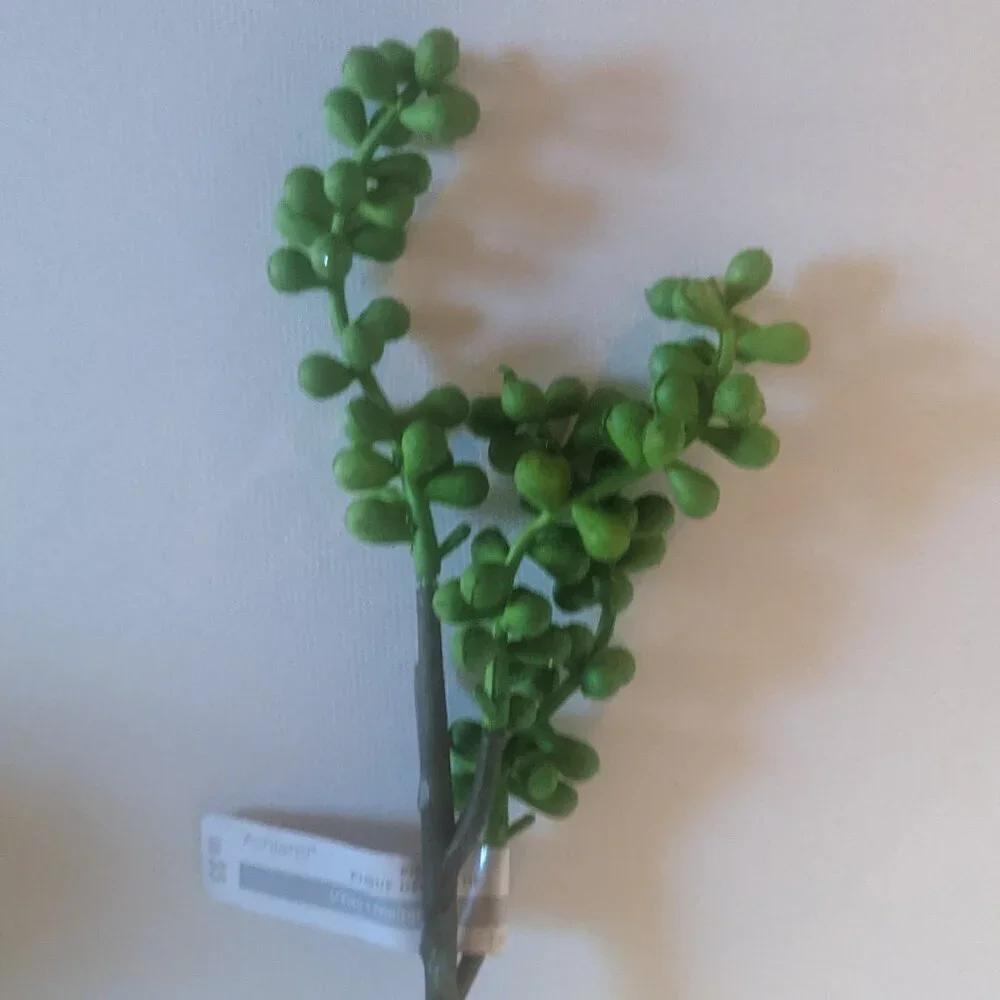 NWT Ashland 2 Spiky Tropical Round Succulent Stems Faux Floral Decor Michael's